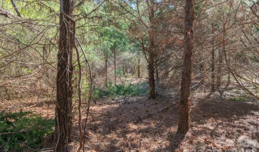 Photo #12 of Cemetery, Fort Lawn, SC