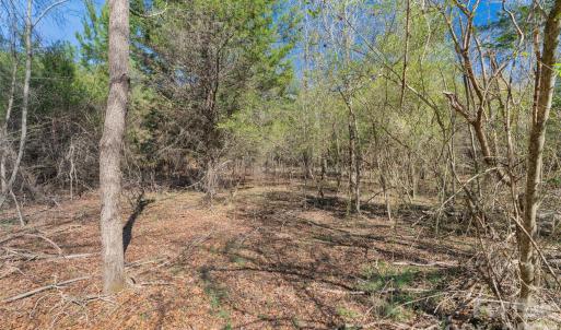 Photo #14 of Cemetery, Fort Lawn, SC