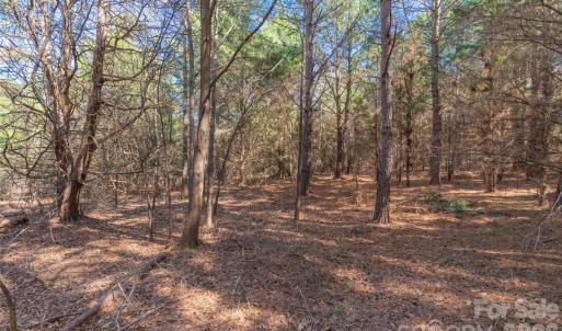 Photo #20 of Cemetery, Fort Lawn, SC