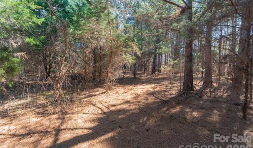 Photo #19 of Cemetery, Fort Lawn, SC