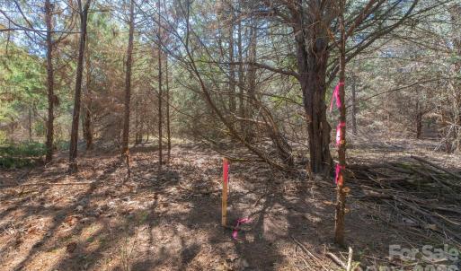 Photo #13 of Cemetery, Fort Lawn, SC
