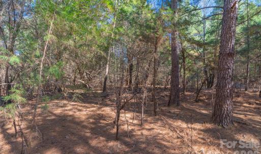 Photo #22 of Cemetery, Fort Lawn, SC
