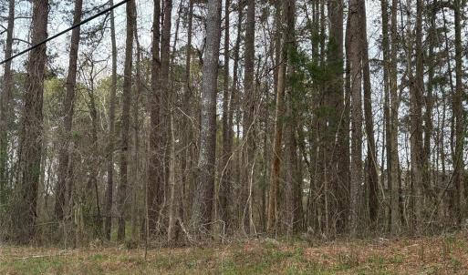 Photo #2 of #0 Old Lilesville, Wadesboro, NC