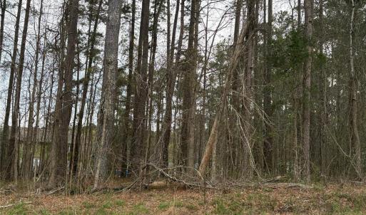 Photo #1 of #0 Old Lilesville, Wadesboro, NC