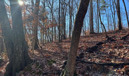 Photo #4 of Lot 79 Tealwood, Norwood, NC