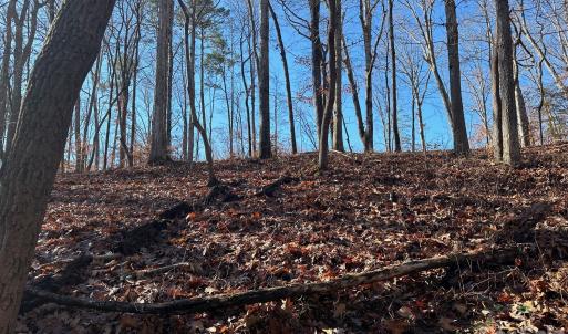 Photo #3 of Lot 79 Tealwood, Norwood, NC