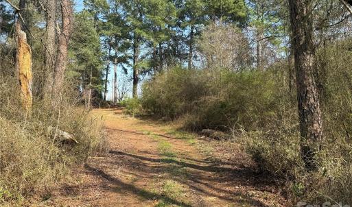 Photo #24 of 300 McCall, Ellerbe, NC