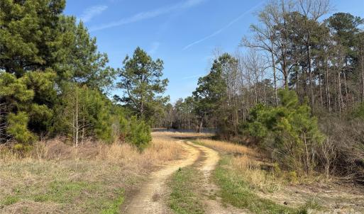 Photo #19 of 300 McCall, Ellerbe, NC