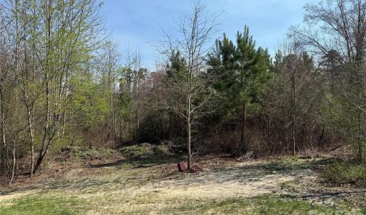 Photo #16 of 300 McCall, Ellerbe, NC