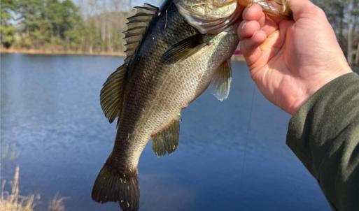 Photo #22 of 300 McCall, Ellerbe, NC