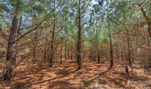 Photo #21 of 931 Charlie Johnson, Kershaw, SC