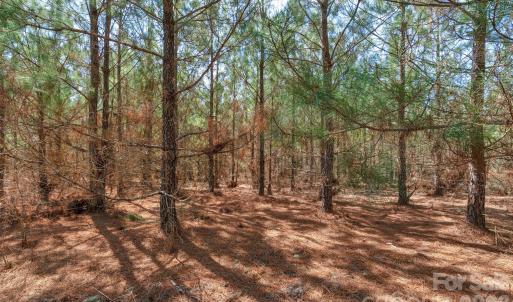 Photo #28 of 931 Charlie Johnson, Kershaw, SC