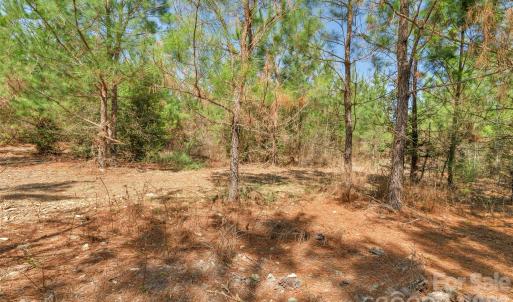 Photo #30 of 931 Charlie Johnson, Kershaw, SC