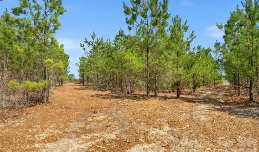 Photo #20 of 931 Charlie Johnson, Kershaw, SC