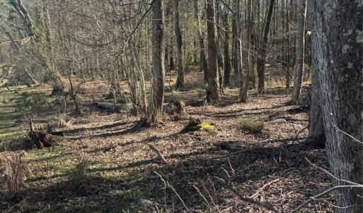 Photo #4 of 1802 Goings, Chester, SC