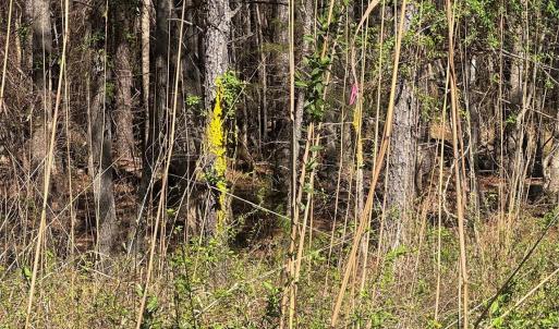 Photo #17 of 1802 Goings, Chester, SC