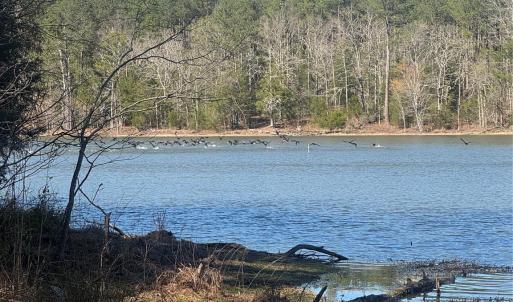 Photo #5 of 1802 Goings, Chester, SC