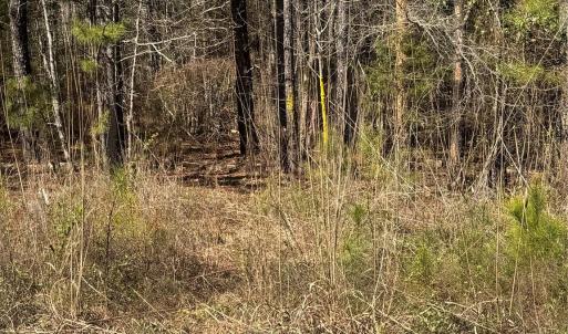 Photo #3 of 1802 Goings, Chester, SC