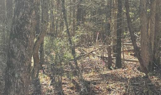 Photo #16 of 1802 Goings, Chester, SC