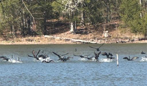 Photo #8 of 1802 Goings, Chester, SC