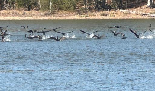 Photo #6 of 1802 Goings, Chester, SC