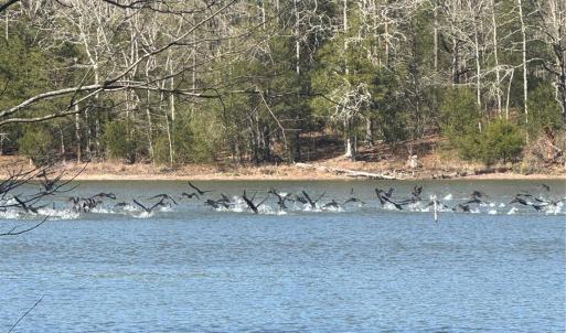 Photo #5 of 1802 Goings, Chester, SC