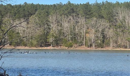 Photo #11 of 1802 Goings, Chester, SC