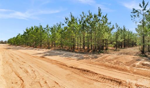 Photo #5 of 931 Charlie Johnson, Kershaw, SC