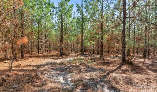 Photo #21 of 931 Charlie Johnson, Kershaw, SC