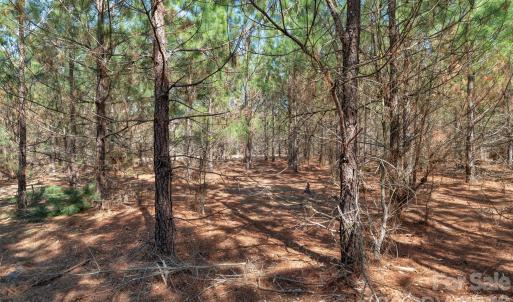 Photo #17 of 931 Charlie Johnson, Kershaw, SC