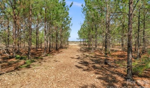 Photo #13 of 931 Charlie Johnson, Kershaw, SC