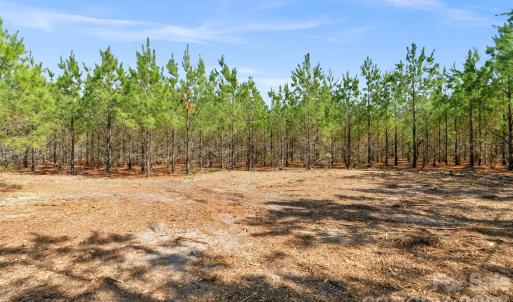 Photo #6 of 931 Charlie Johnson, Kershaw, SC