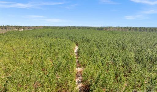 Photo #8 of 931 Charlie Johnson, Kershaw, SC