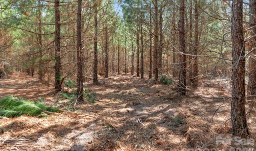 Photo #23 of 931 Charlie Johnson, Kershaw, SC