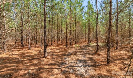 Photo #20 of 931 Charlie Johnson, Kershaw, SC