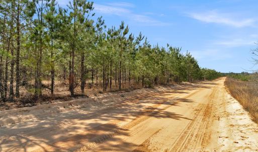 Photo #4 of 931 Charlie Johnson, Kershaw, SC