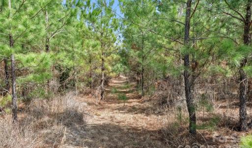 Photo #26 of 931 Charlie Johnson, Kershaw, SC