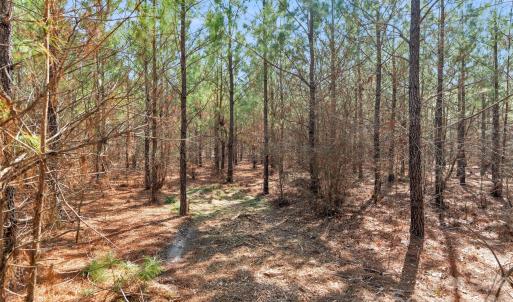 Photo #19 of 931 Charlie Johnson, Kershaw, SC