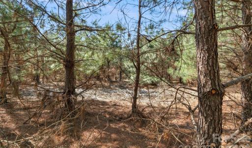 Photo #16 of 931 Charlie Johnson, Kershaw, SC