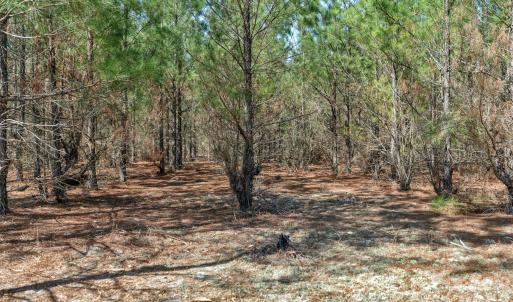 Photo #24 of 931 Charlie Johnson, Kershaw, SC