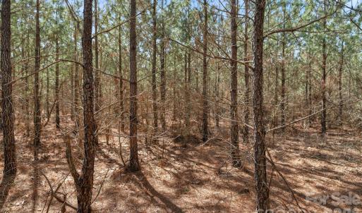 Photo #18 of 931 Charlie Johnson, Kershaw, SC