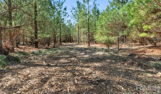 Photo #7 of 931 Charlie Johnson, Kershaw, SC