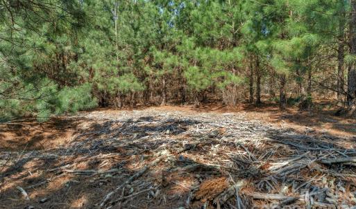 Photo #22 of 931 Charlie Johnson, Kershaw, SC