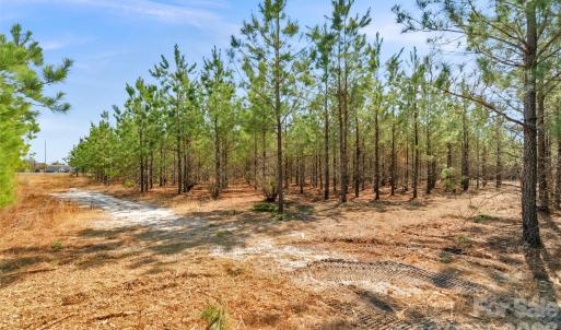 Photo #15 of 931 Charlie Johnson, Kershaw, SC