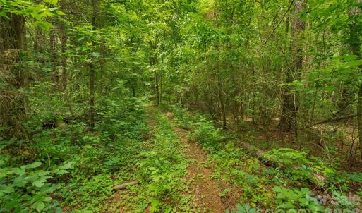 Photo #19 of Lucy Short Cut, Marshville, NC