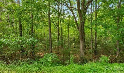 Photo #14 of Lucy Short Cut, Marshville, NC