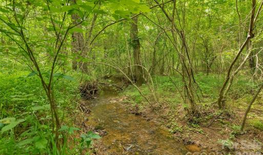 Photo #18 of Lucy Short Cut, Marshville, NC