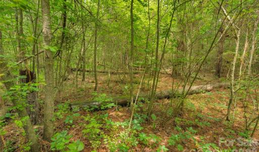 Photo #21 of Lucy Short Cut, Marshville, NC