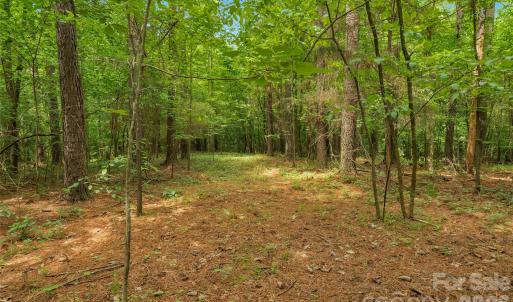 Photo #17 of Lucy Short Cut, Marshville, NC