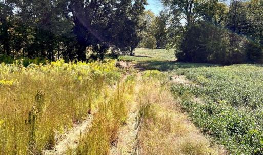 Photo #17 of 2127 Cull Williams, Indian Trail, NC